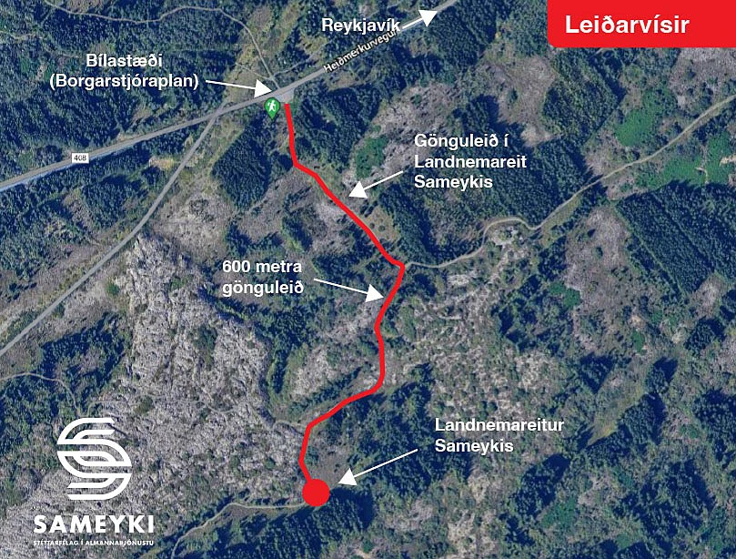 Image for Article