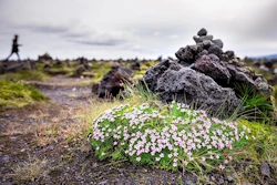 image for Við tökum okkur sumarfrí – hér eru helstu upplýsingar um …