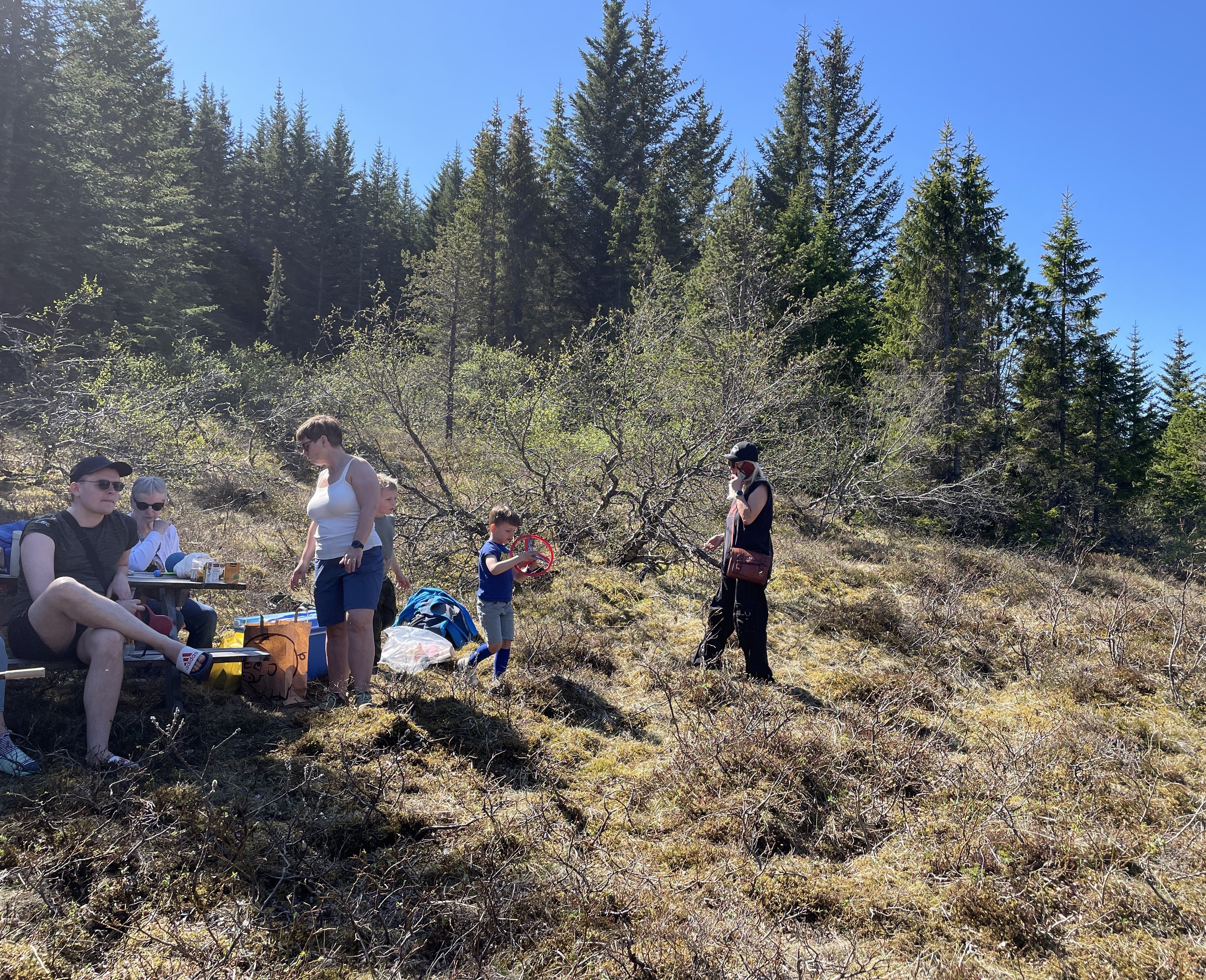 image for Fjölskyldudagur í Heiðmörk 