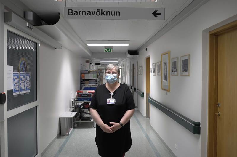 Hengir af sér á greinar trjánna - mynd