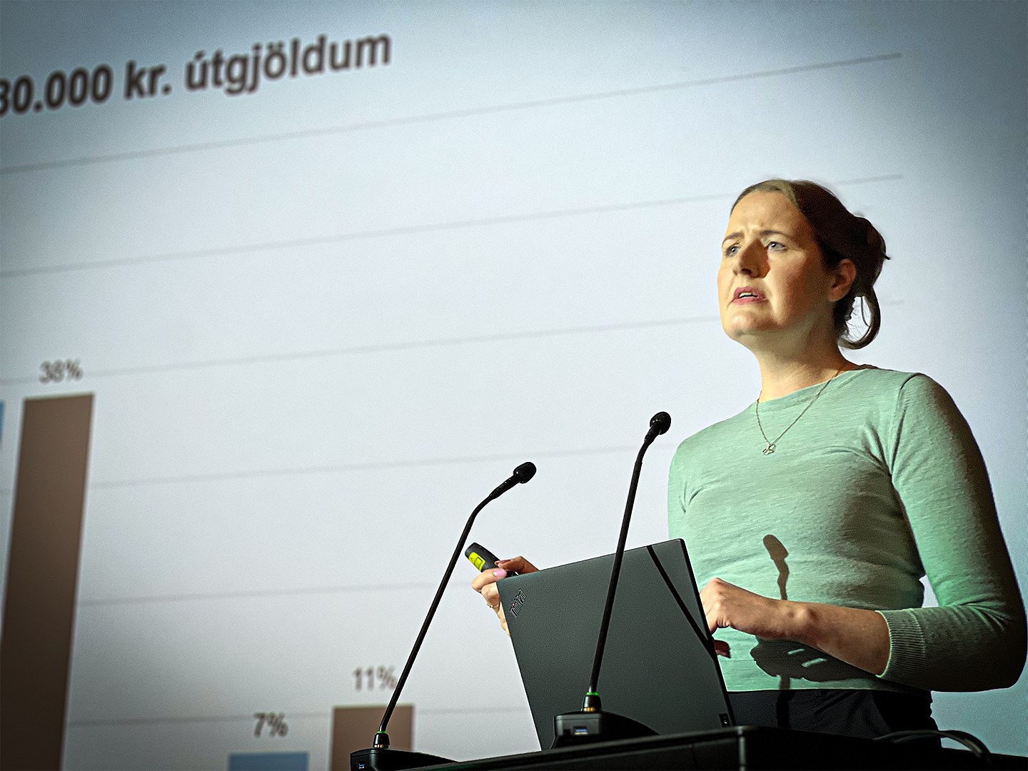 Velferðarkerfið hefur brugðist - mynd