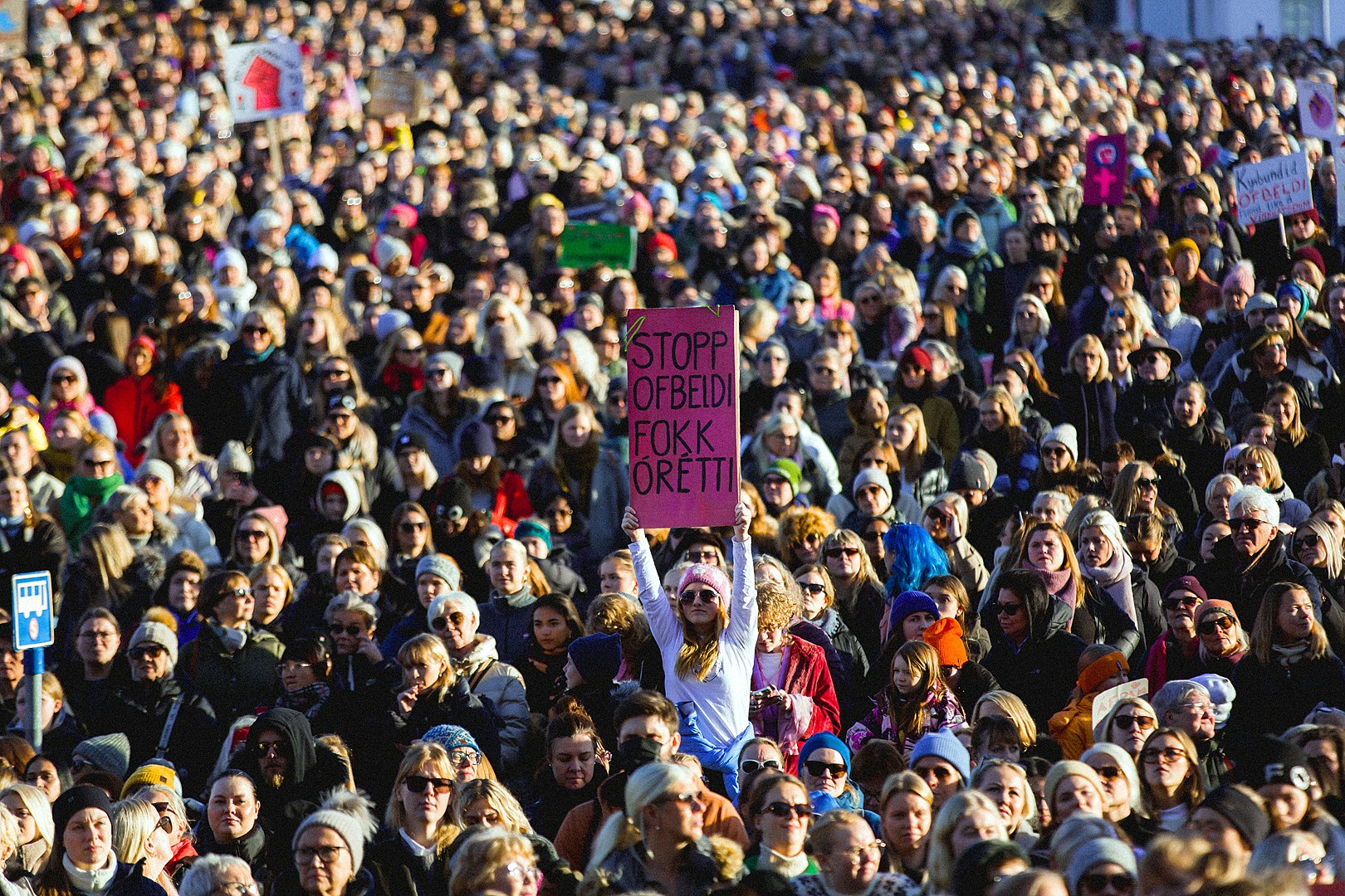 Upphafi Kvennaárs fagnað í Iðnó - mynd