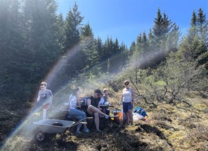 Fjölskylduferð í Heiðmörk - Mynd 1