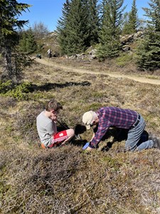 Fjölskylduferð í Heiðmörk - Mynd 6