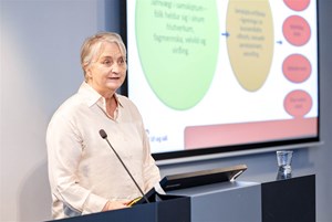 Jákvæð vinnustaðamenning - Málþing 2025 - Mynd 11