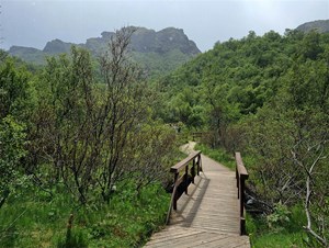 Þórsmerkurferðir Lífeyrisdeildar 2024 - Mynd 5