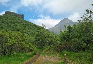 Þórsmerkurferðir Lífeyrisdeildar 2024 - Mynd 7