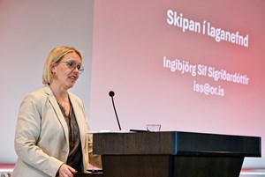 Trúnaðarmannaráðsfundur 15.05 2025 - Mynd 10
