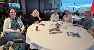 Skoða skopmyndir - Mynd 21