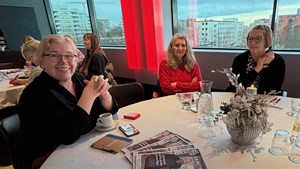 Skoða skopmyndir - Mynd 19