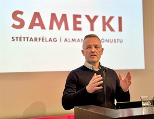 Skoða skopmyndir - Mynd 13