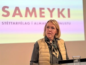 Skoða skopmyndir - Mynd 12