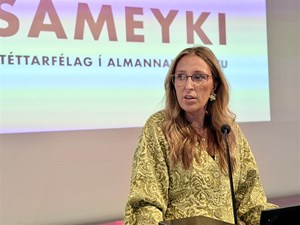 Skoða skopmyndir - Mynd 11