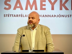 Skoða skopmyndir - Mynd 10