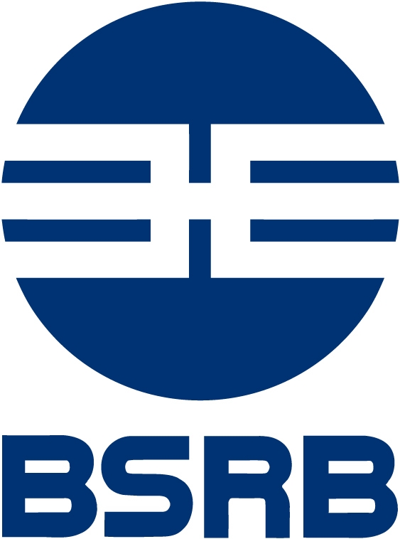 BSRB opnar kosningavef - mynd